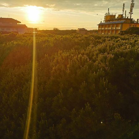 Hotel Pine Beach Розолина-Маре Экстерьер фото