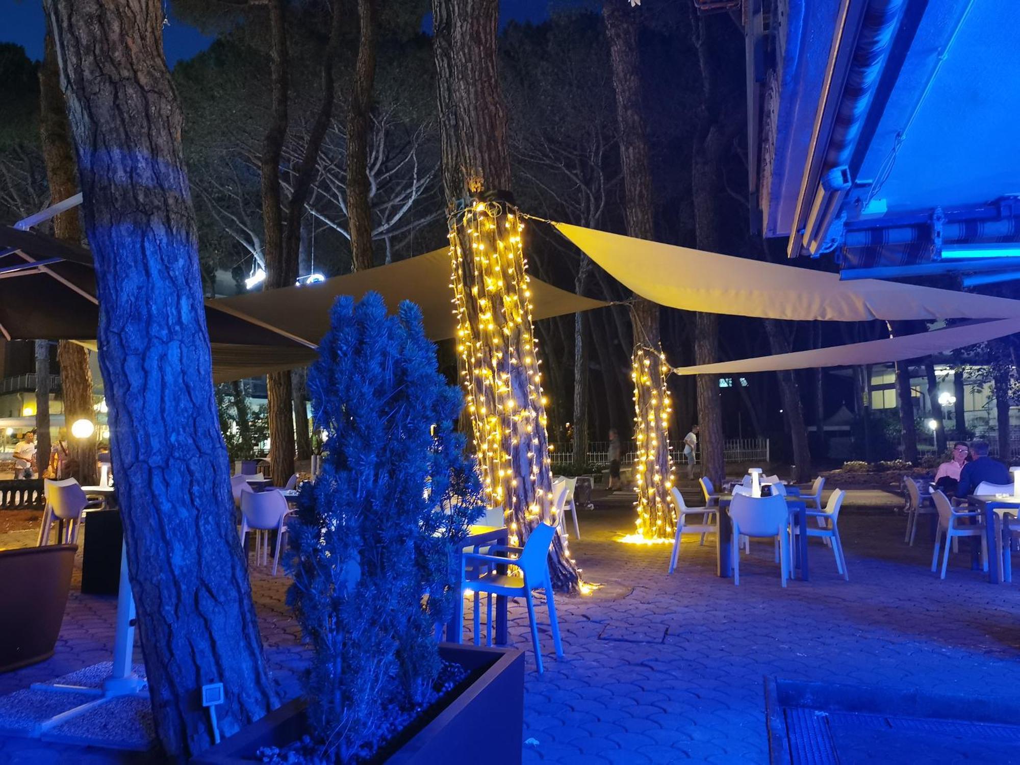 Hotel Pine Beach Розолина-Маре Экстерьер фото